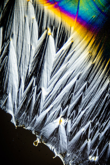 a22231