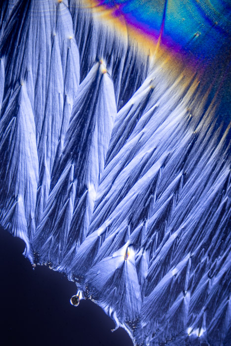 a22232