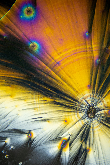 a22233