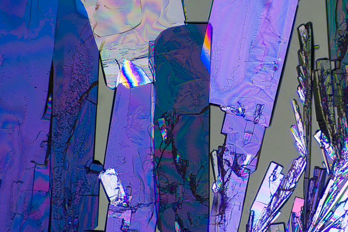 a22424