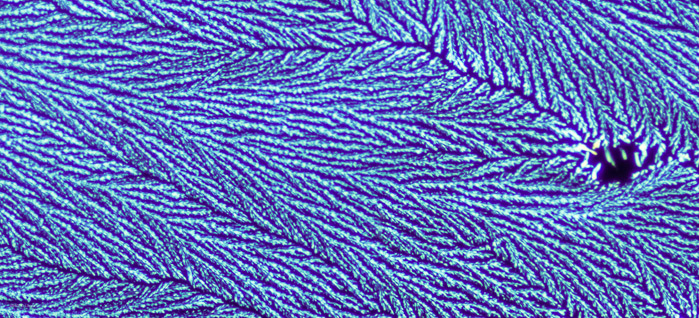 pan_a18007