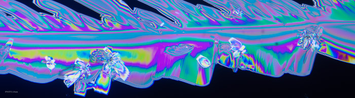 pan_a21021