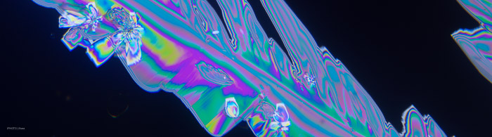 pan_a21022