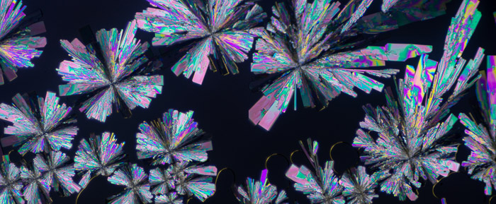 pan_a21030