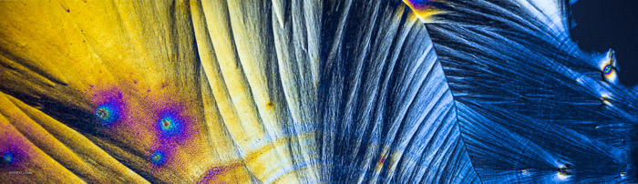 pan_a21035