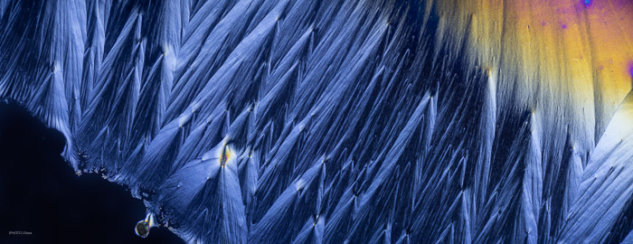 pan_a22038