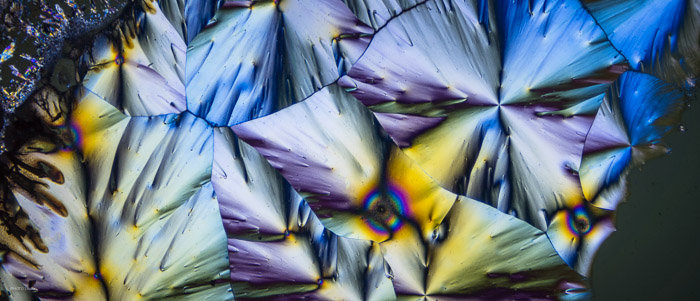 pan_a22068