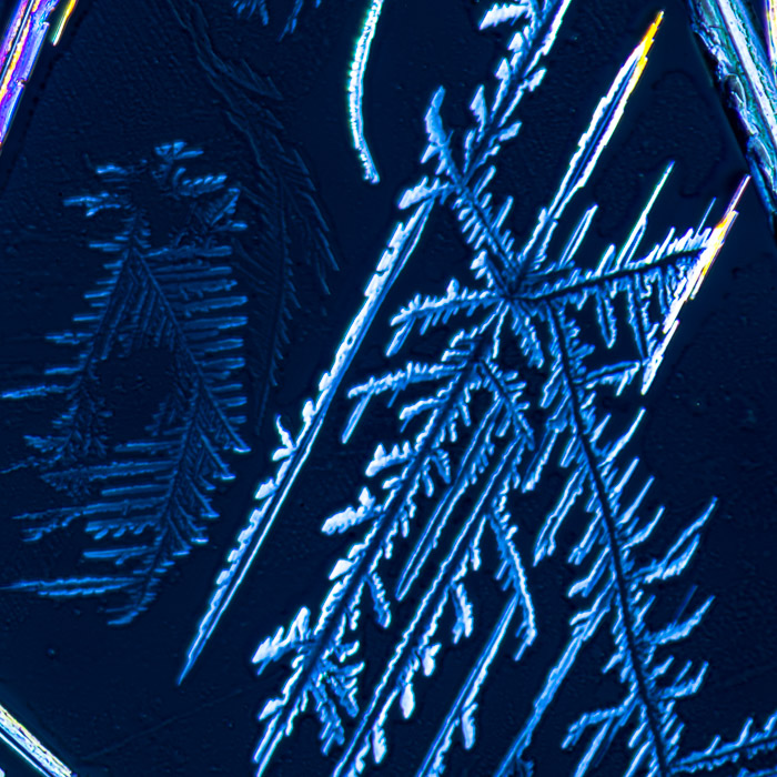 c021