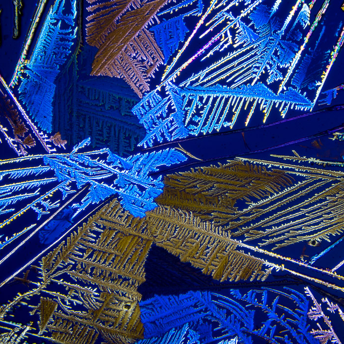 c099