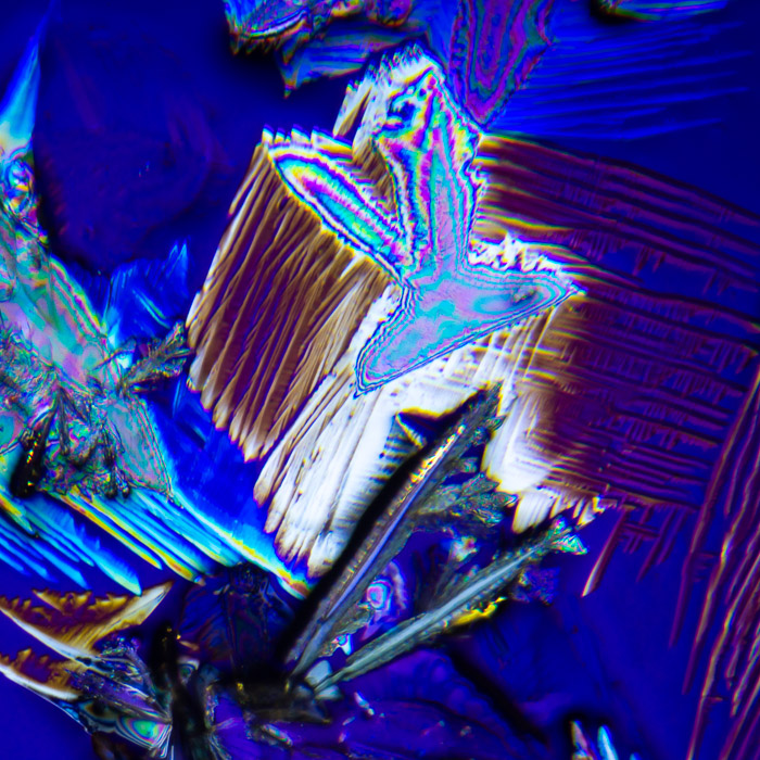 d074