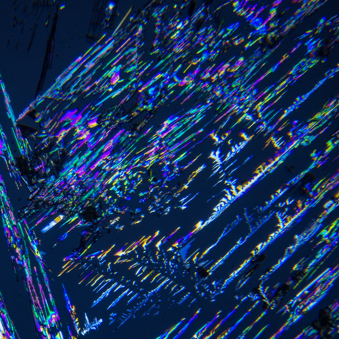 d081
