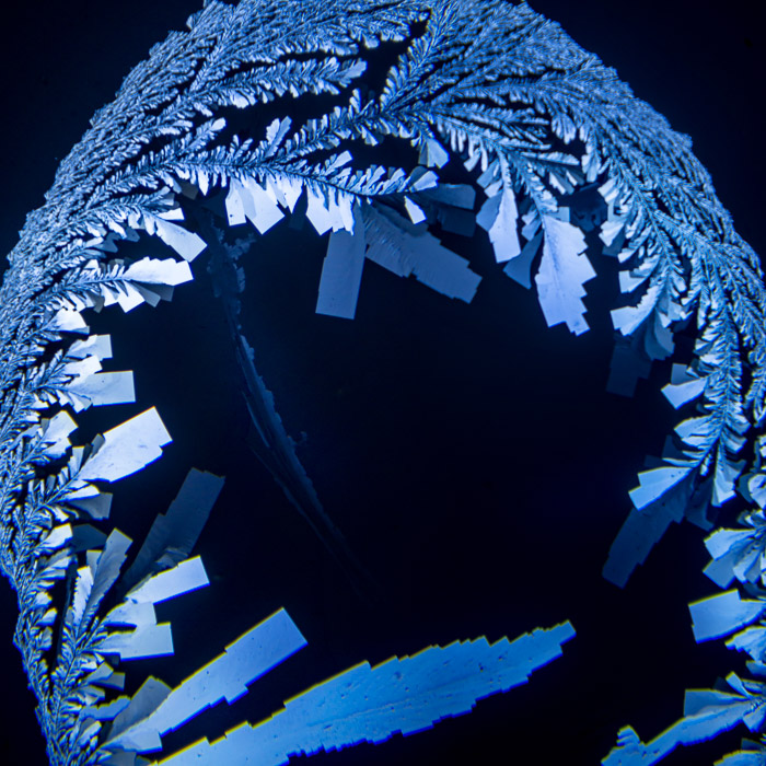 d099