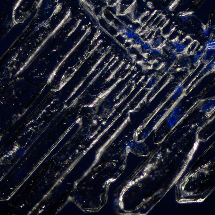 f005