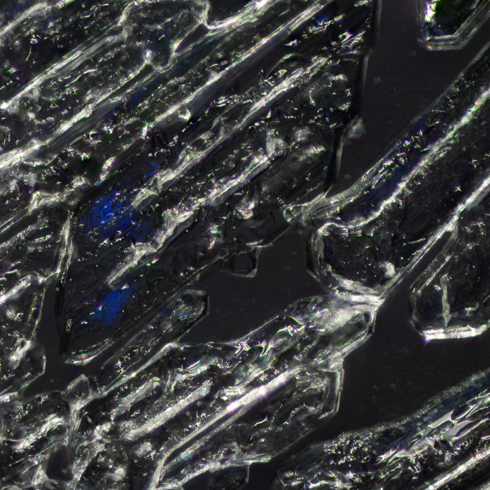 f008