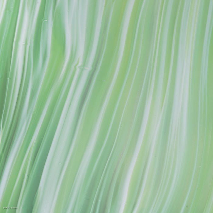 g002