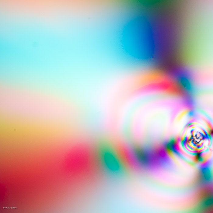g006