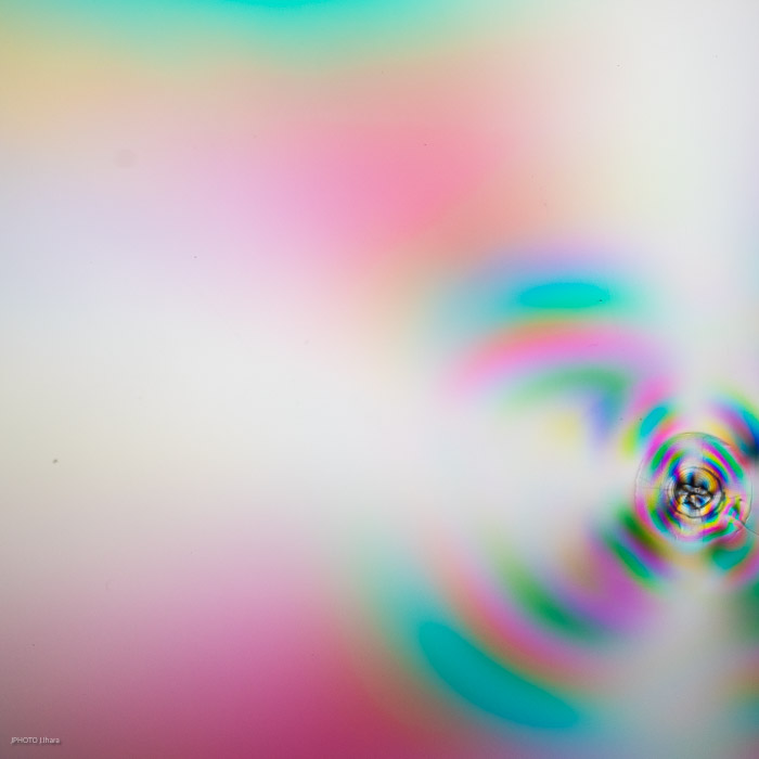 g009