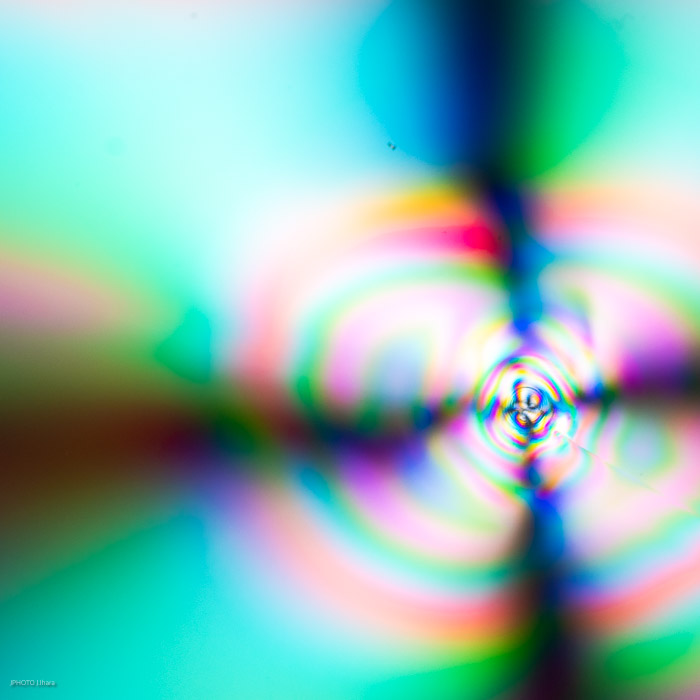 g013