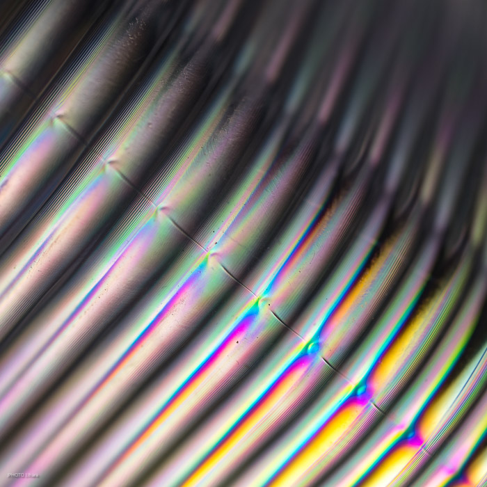 g068