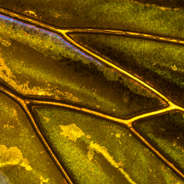 h031