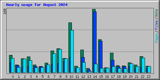 Hourly usage for August 2024